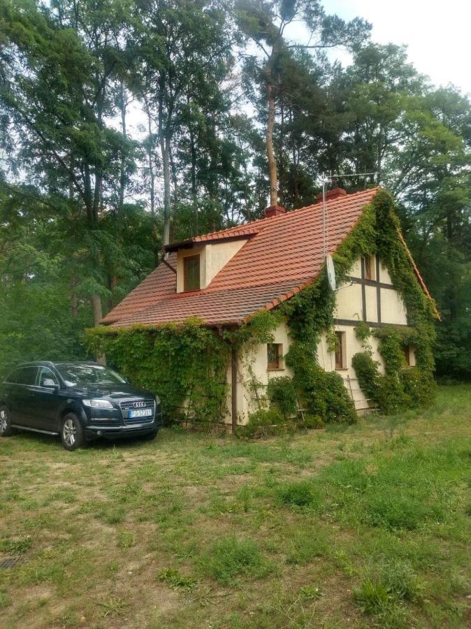 Zolty Domek Nad Jeziorem Lubniewice Bagian luar foto